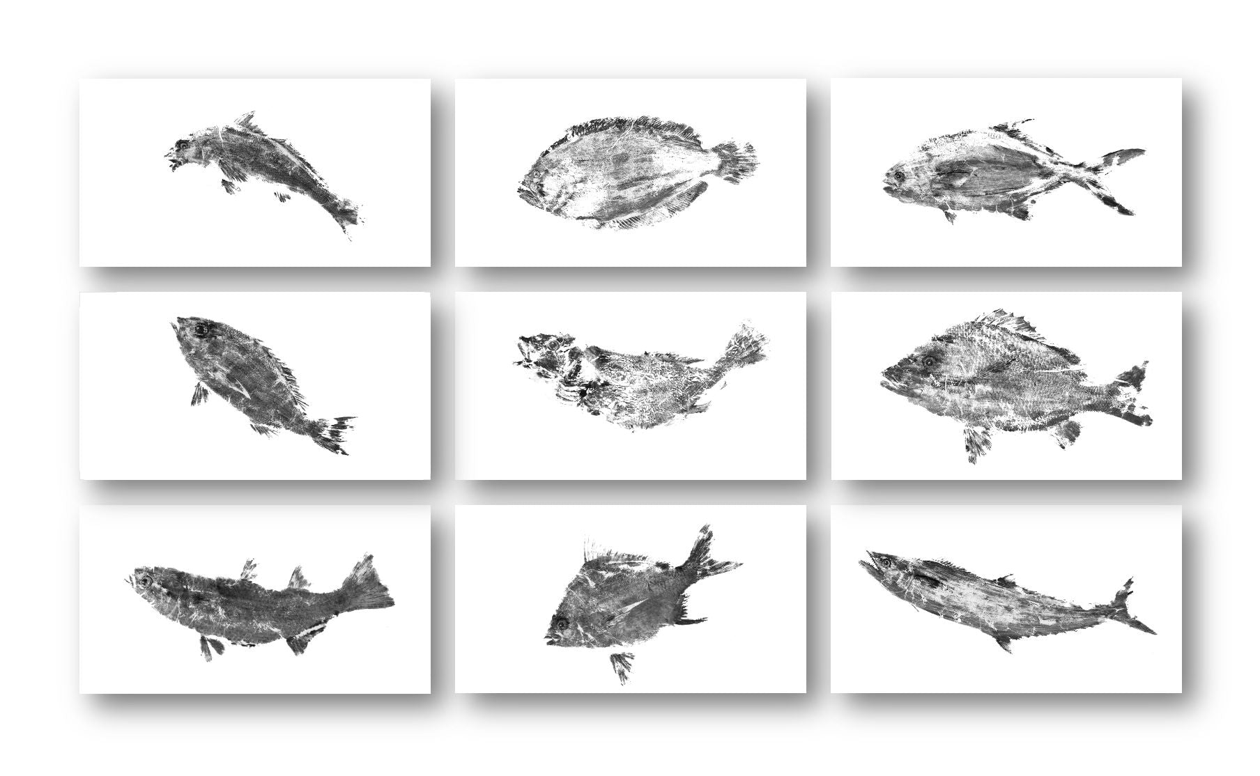 Black and White Fish Stamp Set by John Beard Collection - main product image for Resin Society