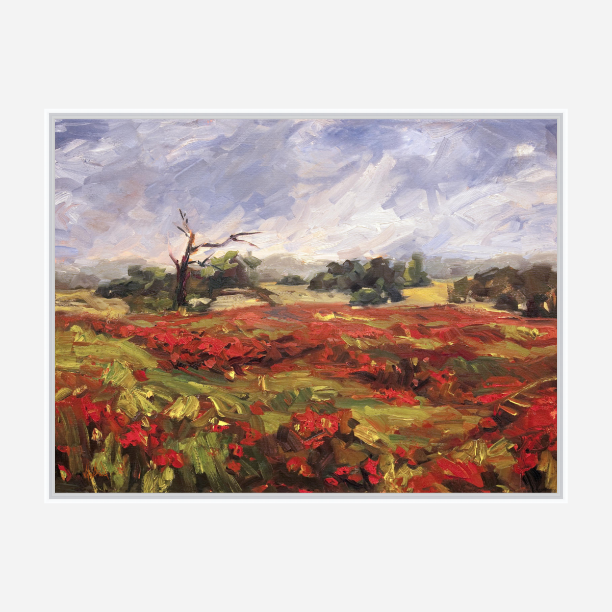 Blaze of Poppies Artist Enhanced Canvas Print by John Beard Collection - product image 7 for Resin Society