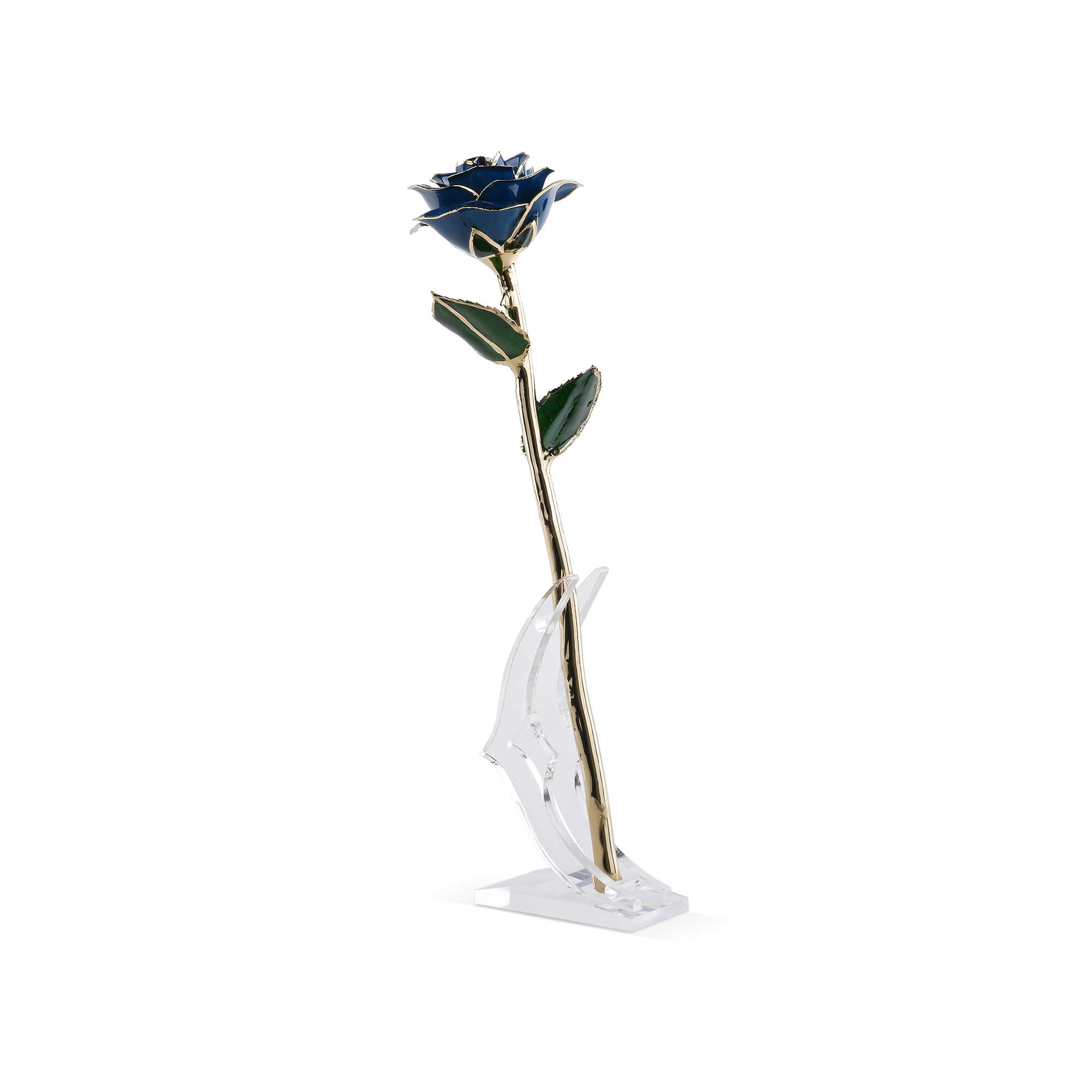 Timeless Rose (Blue) by ROSEPHORIA - main product image for Resin Society