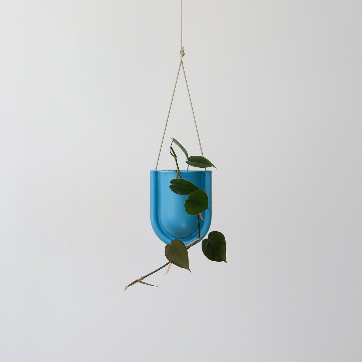 Bright blue U-shaped hanging planter with a single green trailing plant against a plain white background, suspended by two beige cords.