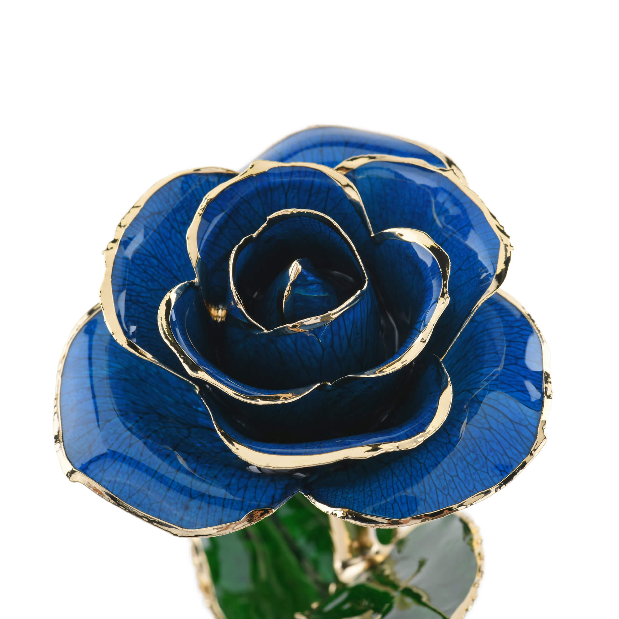 Timeless Rose (Blue) by ROSEPHORIA - product image 3 for Resin Society