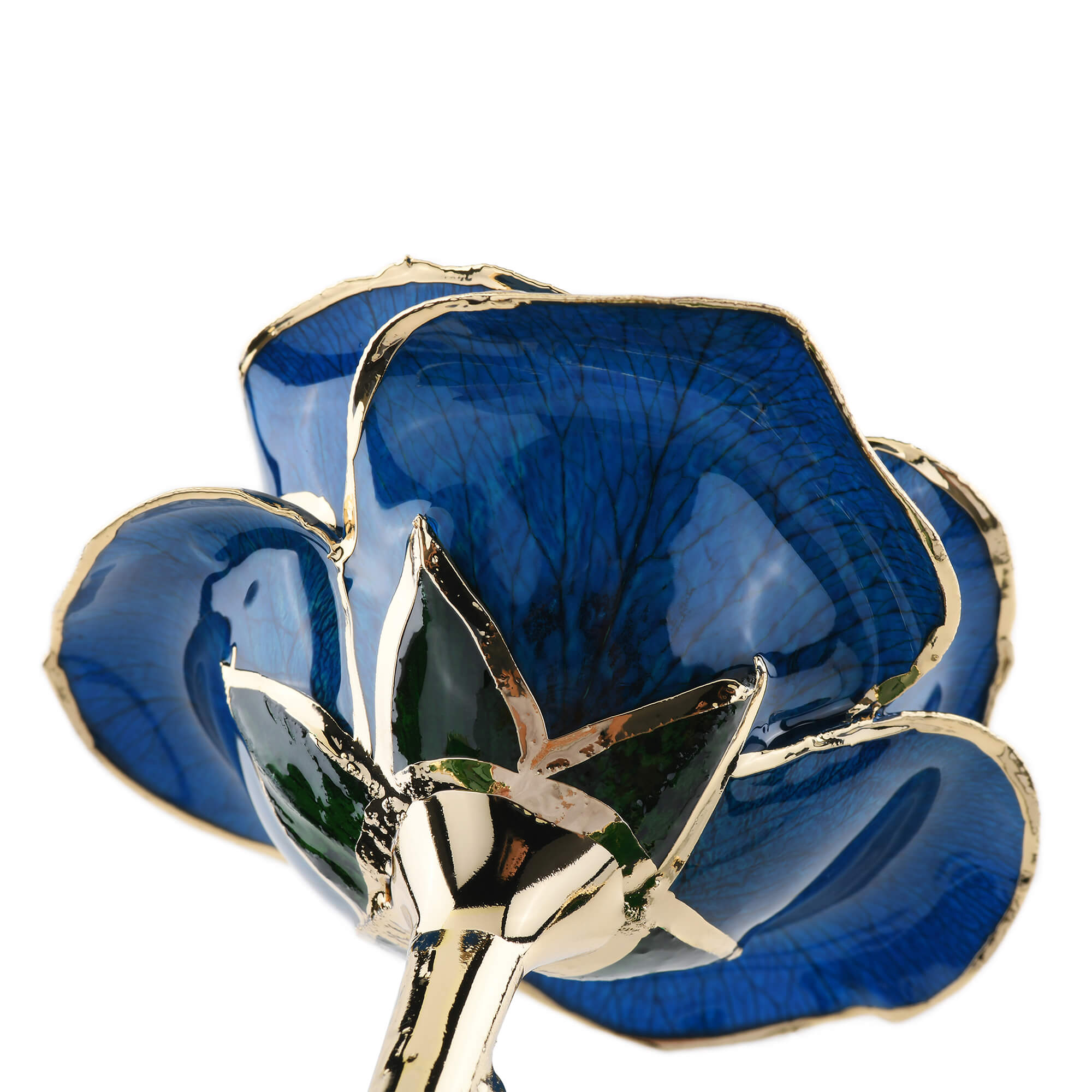 Timeless Rose (Blue) by ROSEPHORIA - product image 4 for Resin Society