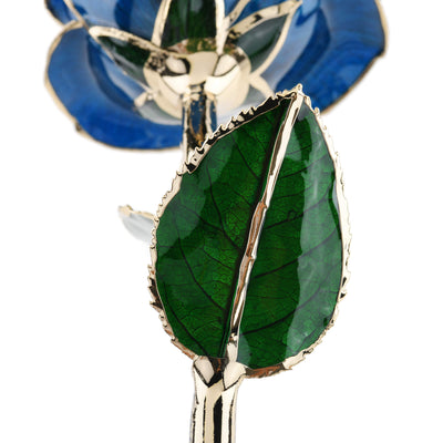 Timeless Rose (Blue) by ROSEPHORIA - product image 5 for Resin Society