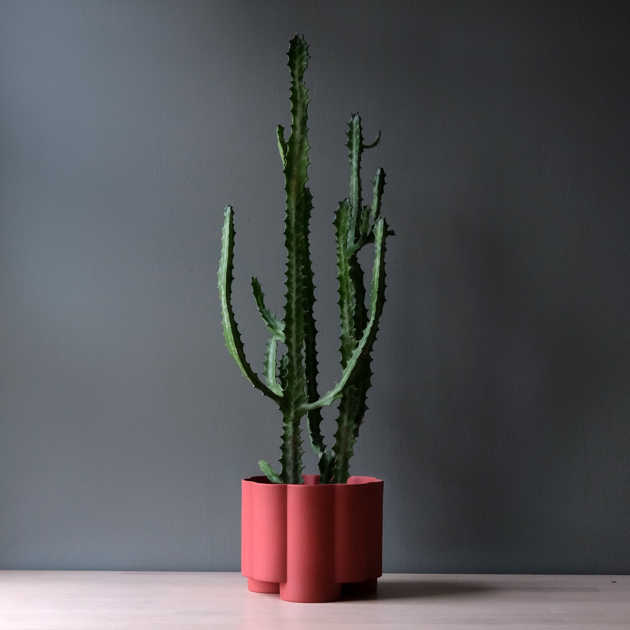 Pillar Planter by Misewell