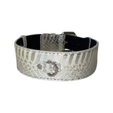 Silver snake-textured collar with a classic silver buckle and D-ring, shown on a white background in a circular shape.