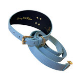 Light blue dog collar and leash set with gold buckle, hardware, and textured pattern, shown curved and coiled against a white background.