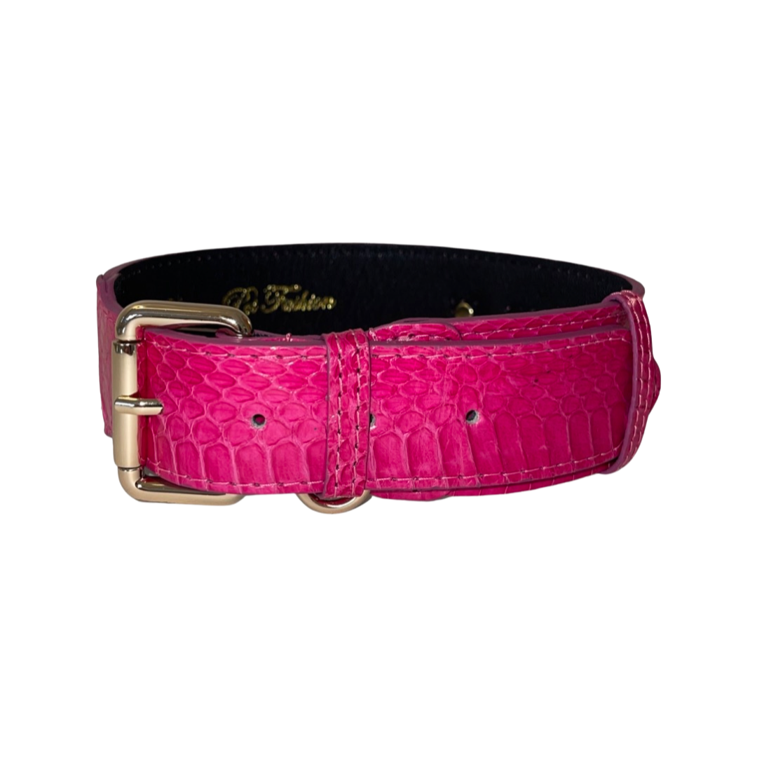 Bright fuchsia dog collar with textured snake skin pattern and gold-toned buckle, shown in a curved position against a white background.