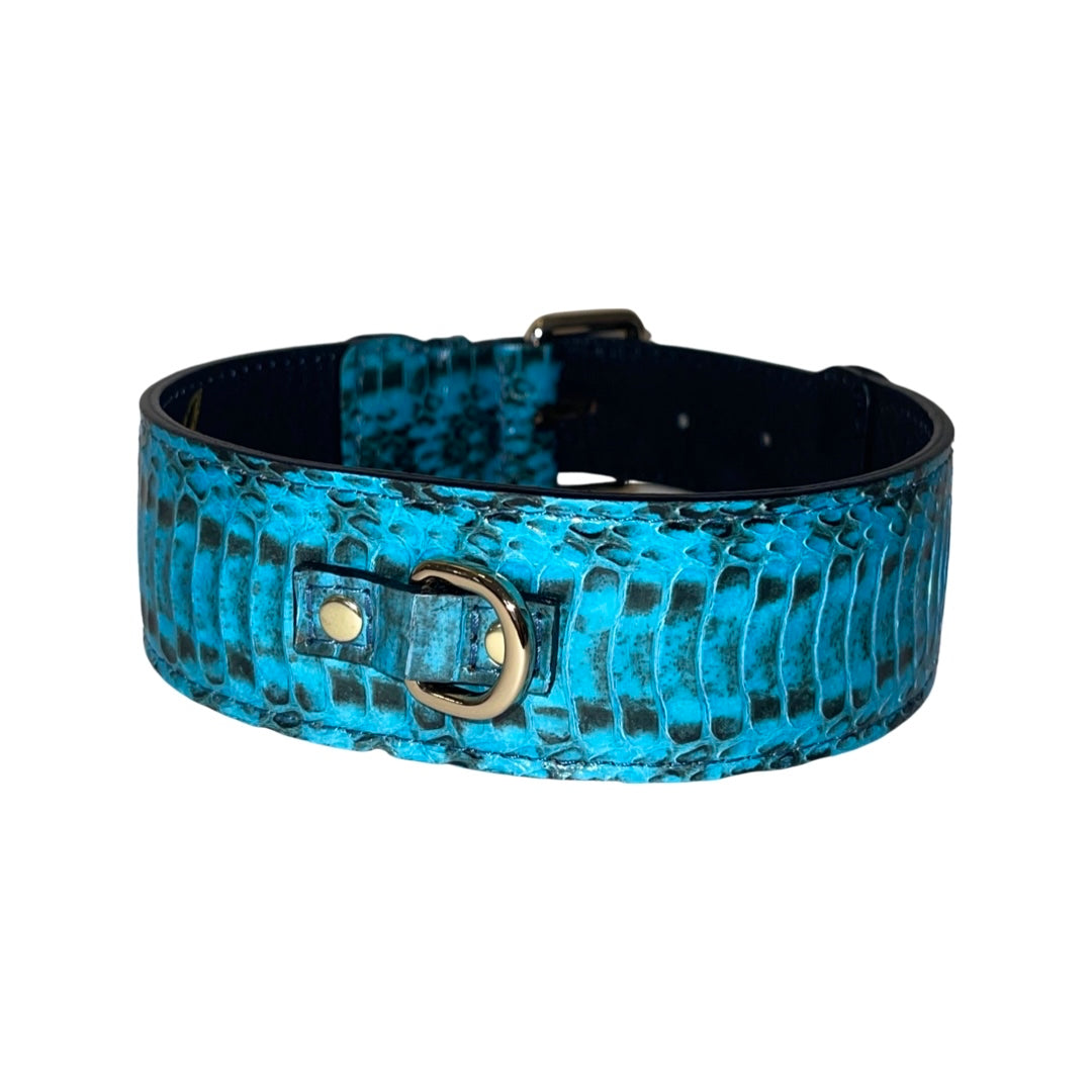 Turquoise and black snake-patterned collar featuring shiny gold D-ring hardware against a white background, shown at an angle.