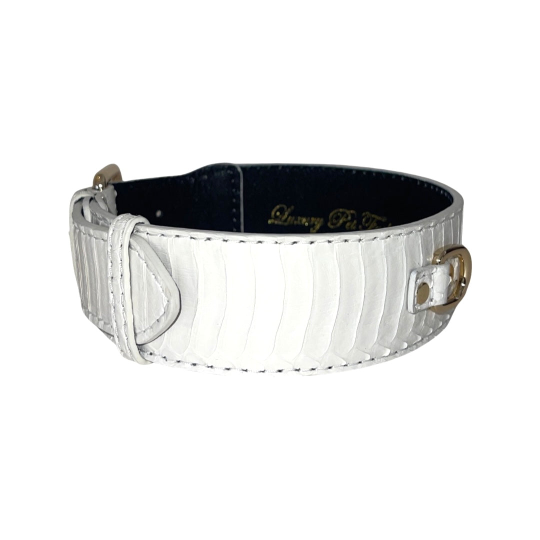 Matte White Snake With Gold Classic Hardware