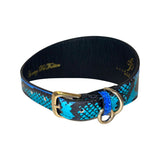 Black and electric turquoise snake-print collar with gold buckle and silver D-ring, shown in a circular shape on a white background.