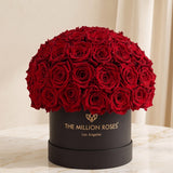 Classic Black Superdome Box by The Million Roses - product image 2 for Resin Society