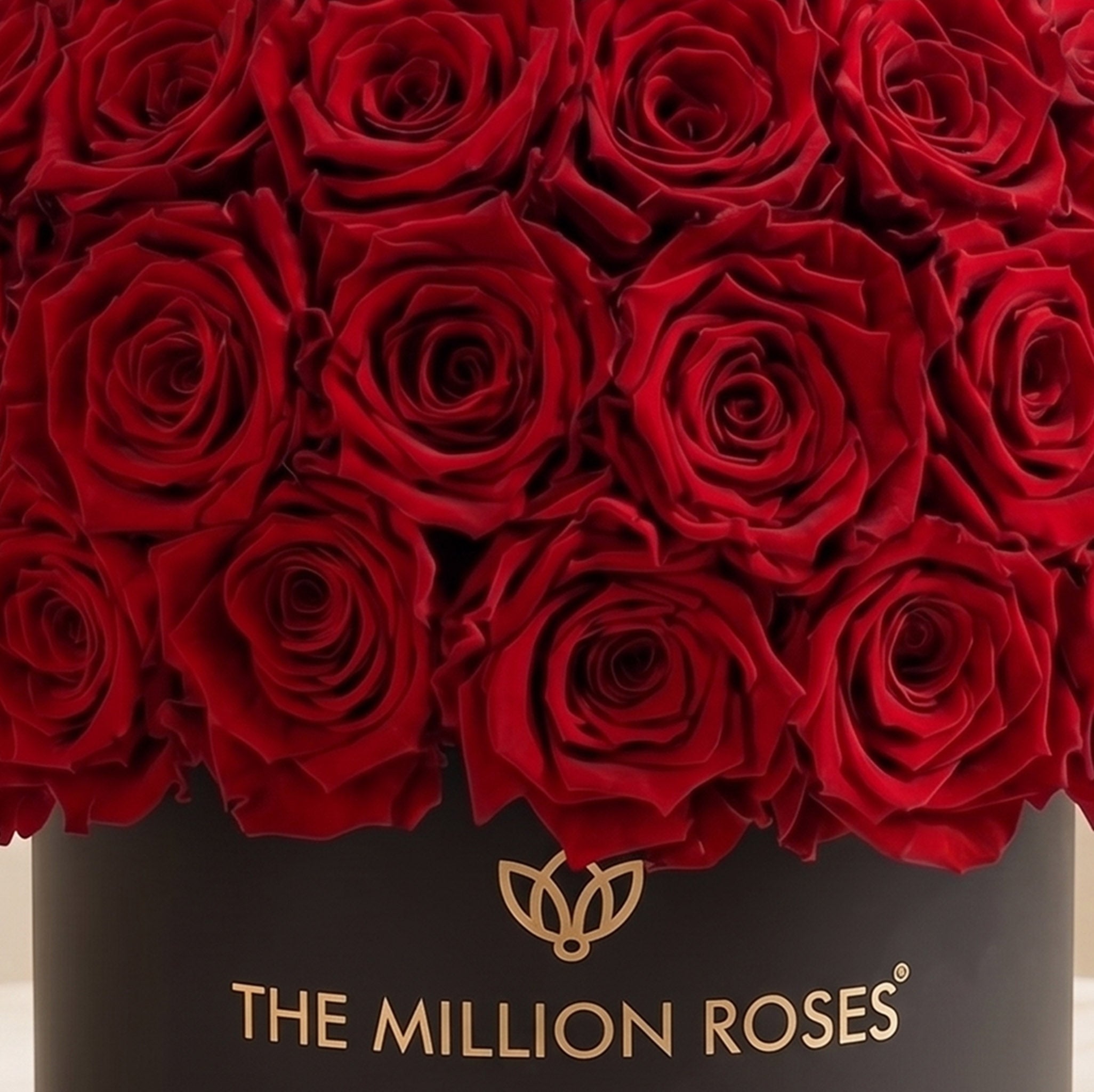 Classic Black Superdome Box by The Million Roses - product image 3 for Resin Society