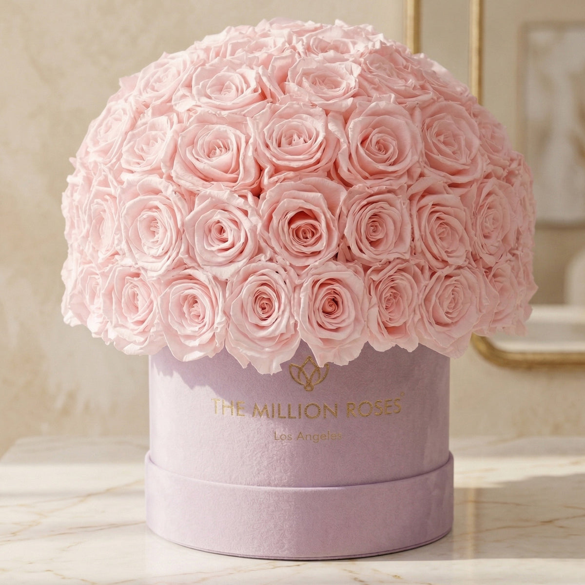 Classic Light Pink Suede Superdome Box by The Million Roses - product image 2 for Resin Society