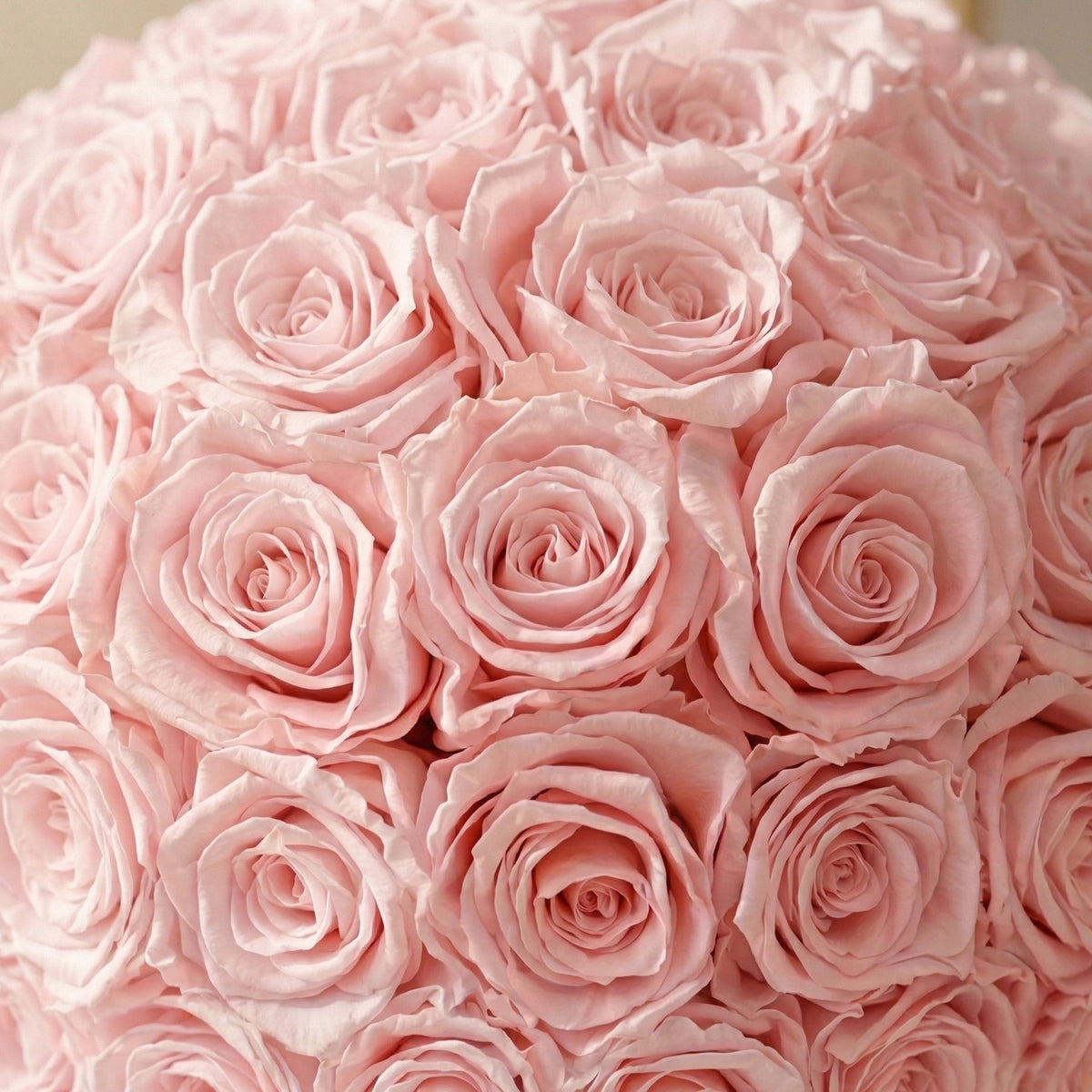 Classic Light Pink Suede Superdome Box by The Million Roses - product image 3 for Resin Society