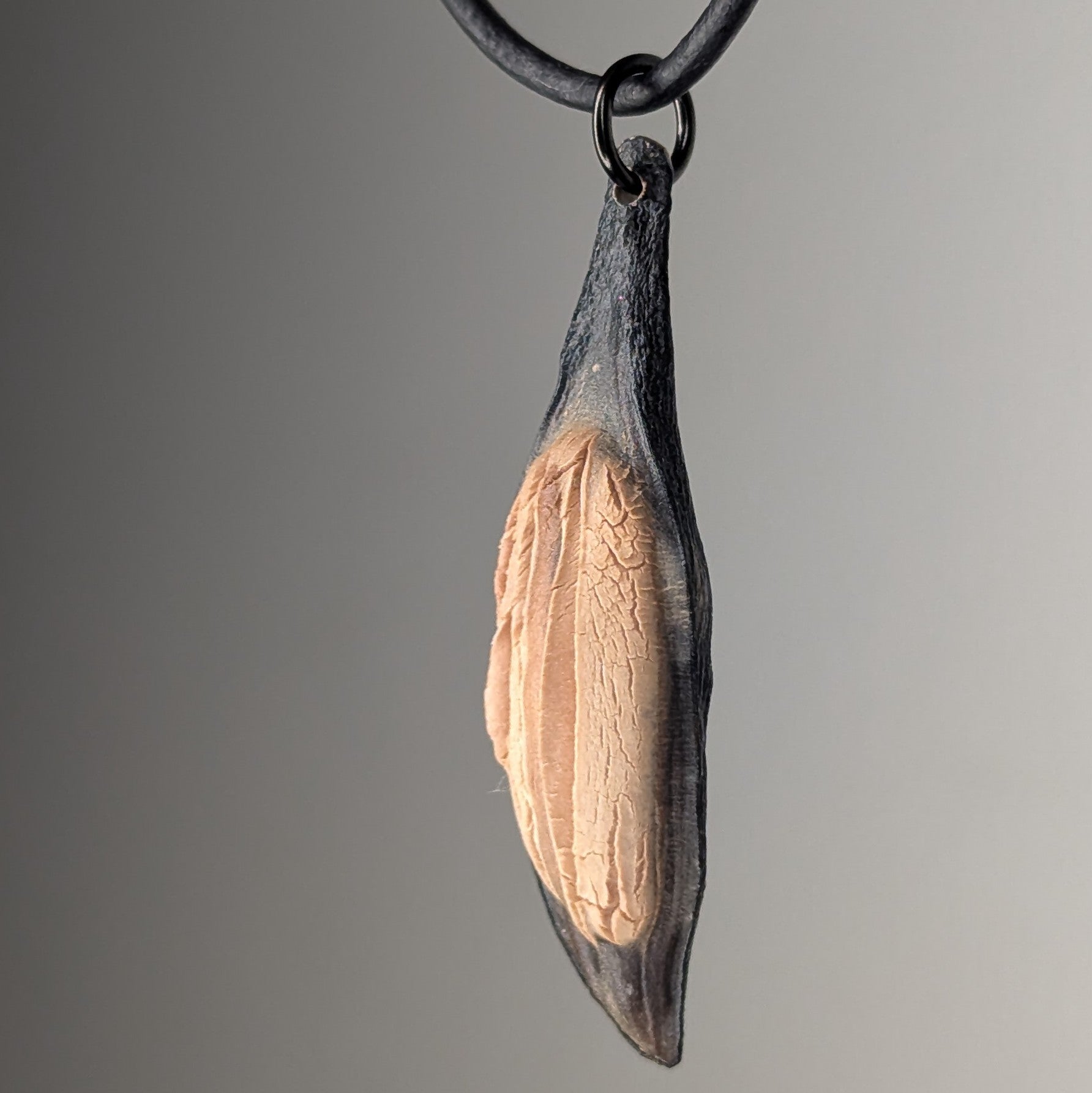 Caulerionyx Necklace by Versiliy