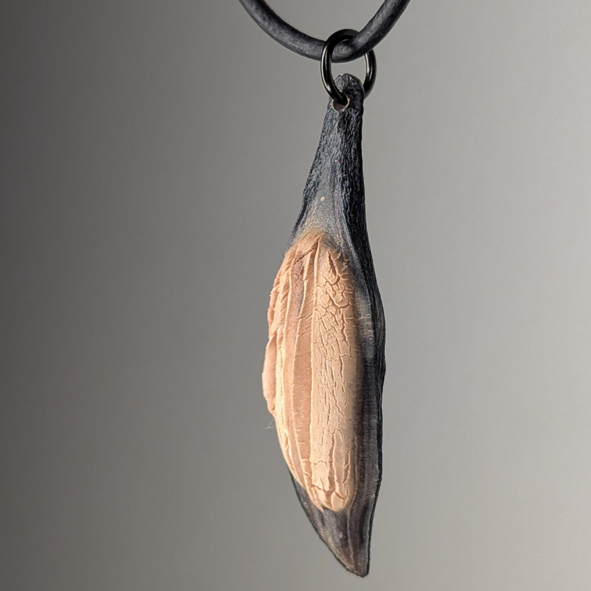 Pendant shaped like a dried seed pod with a black exterior and a detailed pale beige textured interior, hanging from a black cord against a gray background.