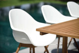Chamonix Resin and FSC Wood Arm Chairs - 2pc by LifestyleGarden US - product image 6 for Resin Society