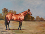 Champion Artist Enhanced Canvas Print by John Beard Collection - main product image for Resin Society