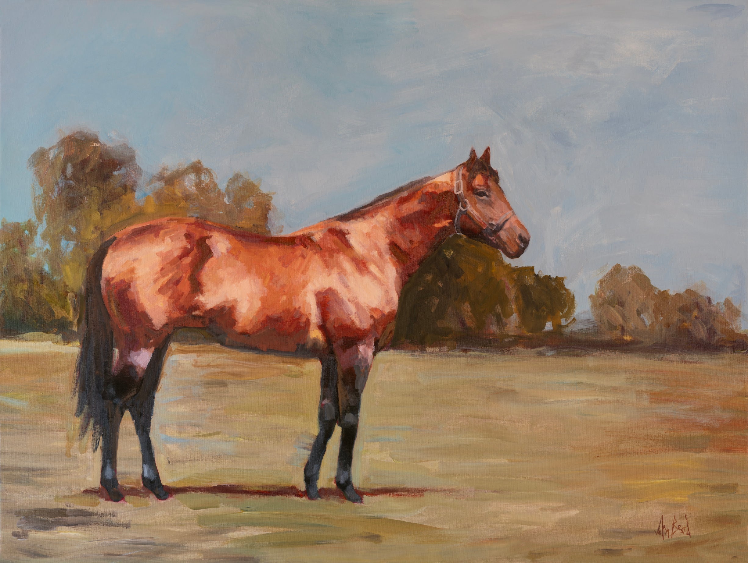 Champion Artist Enhanced Canvas Print by John Beard Collection - main product image for Resin Society
