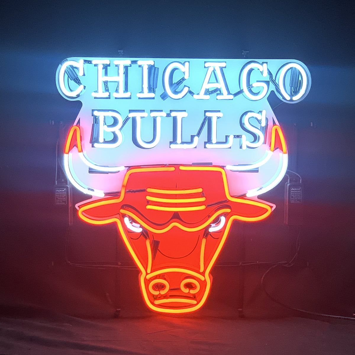 Chicago Bulls Logo Neon Signs Light by Neon Signs Land - main product image for Resin Society