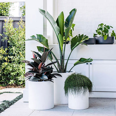 Choob Planter by The Balcony Garden US