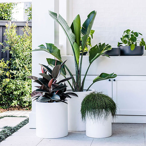 Choob Planter by The Balcony Garden US