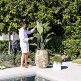 Man in white shorts and shirt tending large broad-leaf plant in textured stone planter, standing beside smaller white planter with grassy plant on patio by pool.