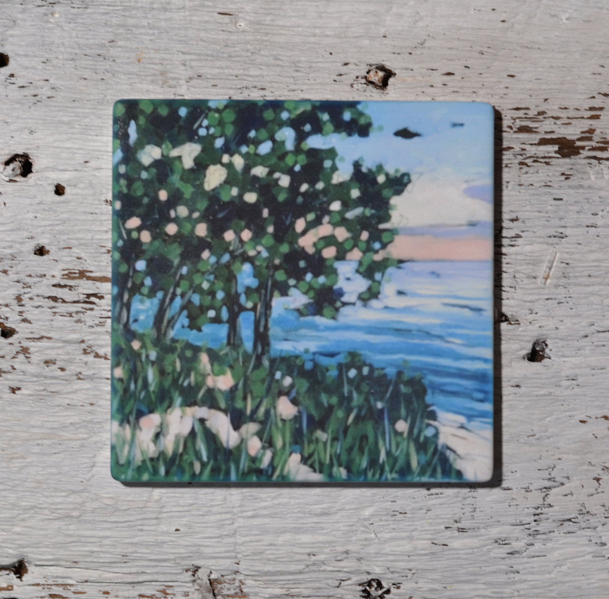 Set of Something Magical Summer Lake Sunset coasters arranged on a white surface