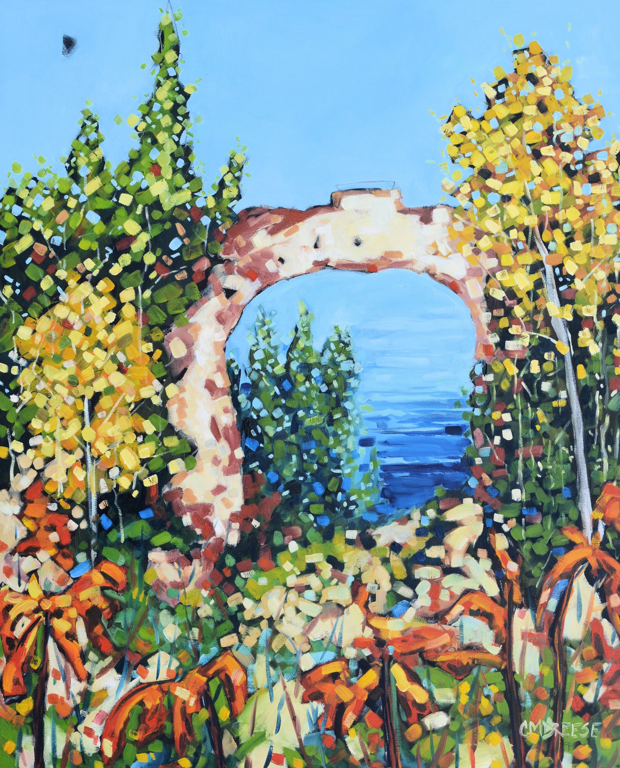 "Arch Rock at Mackinac Island" Print on Paper - Wall Art Home Decor by Dreese Fine Art - Resin Society