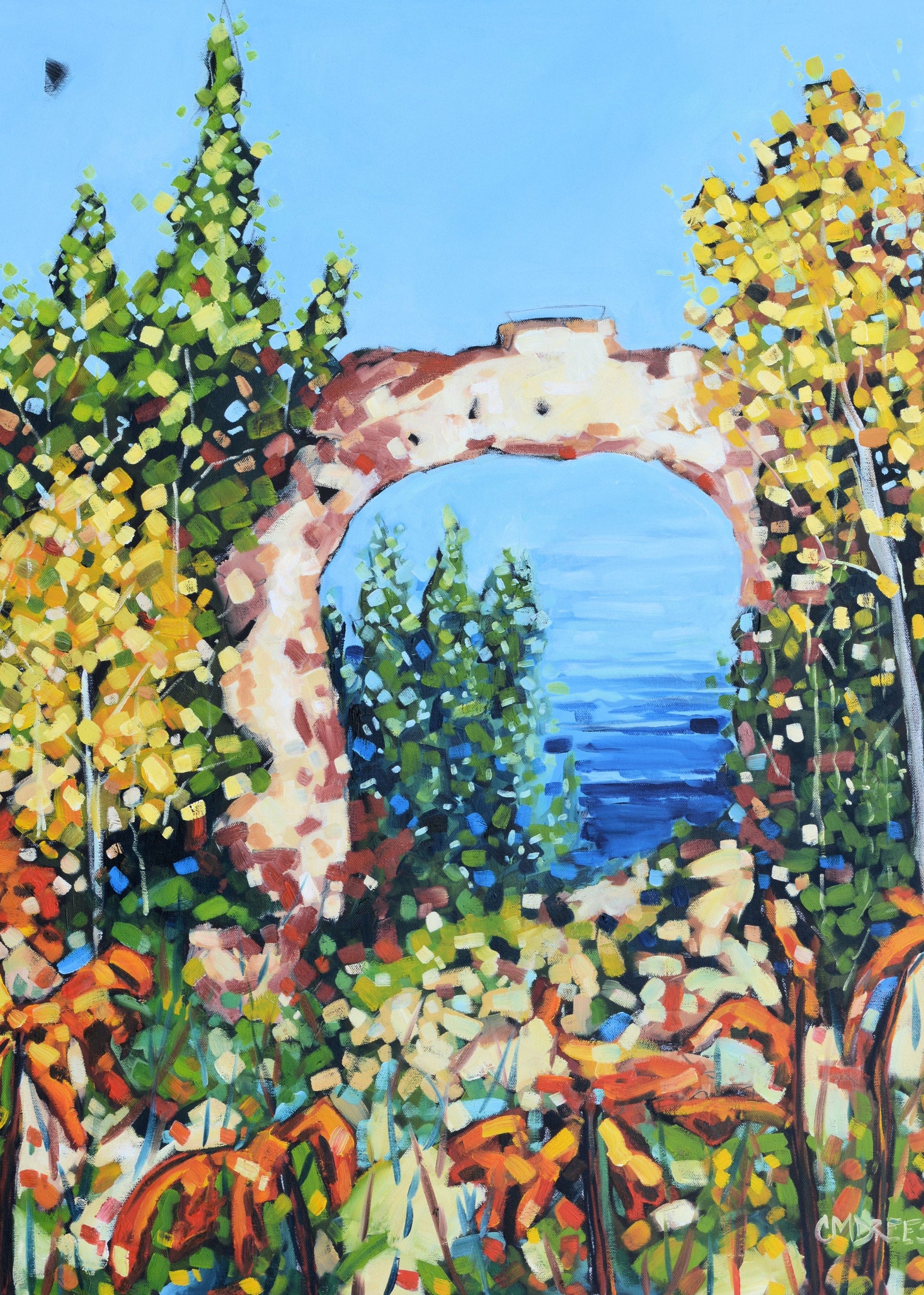 "Arch Rock at Mackinac Island" Glass Art Print by Dreese Fine Art - Resin Society