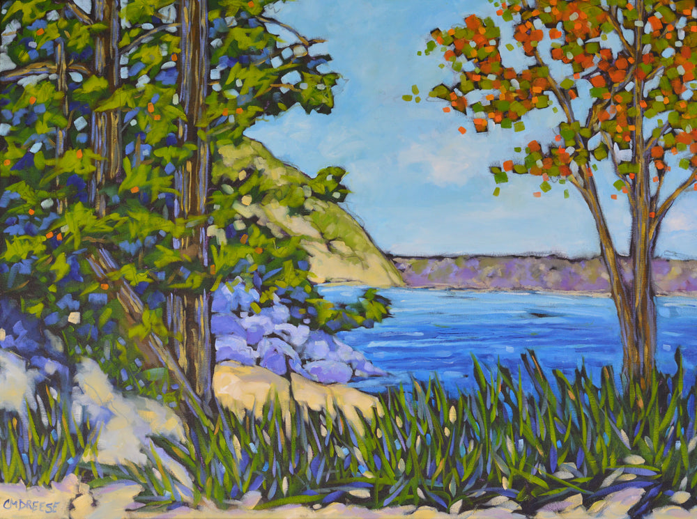 "Slow Living at the Lake" Giclee Print on Paper or Canvas. Michigan by Dreese Fine Art - main product image for Resin Society