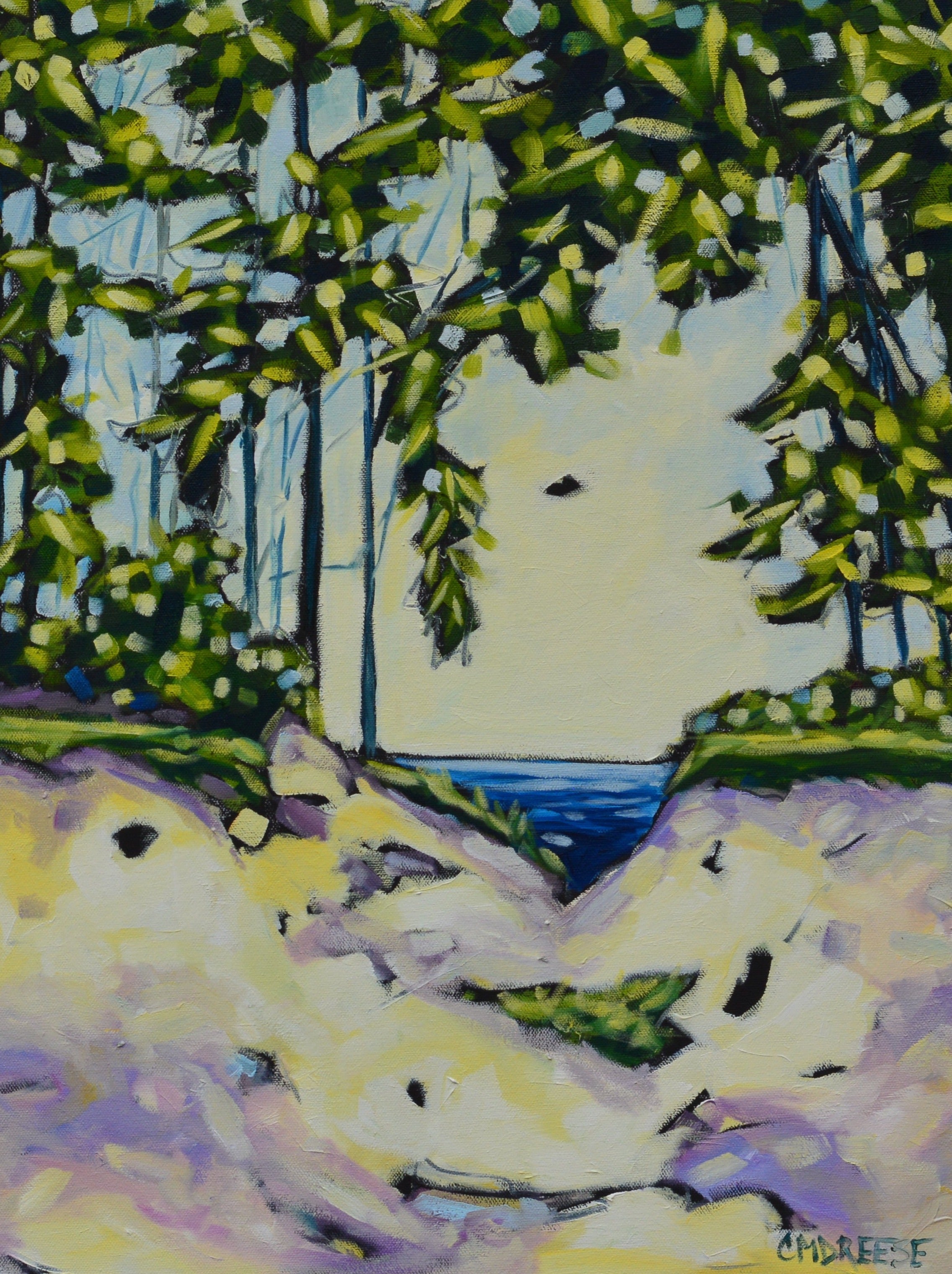 "Lead Me To The Lake" Beach, Lake Glass Art Print by Dreese Fine Art - Resin Society