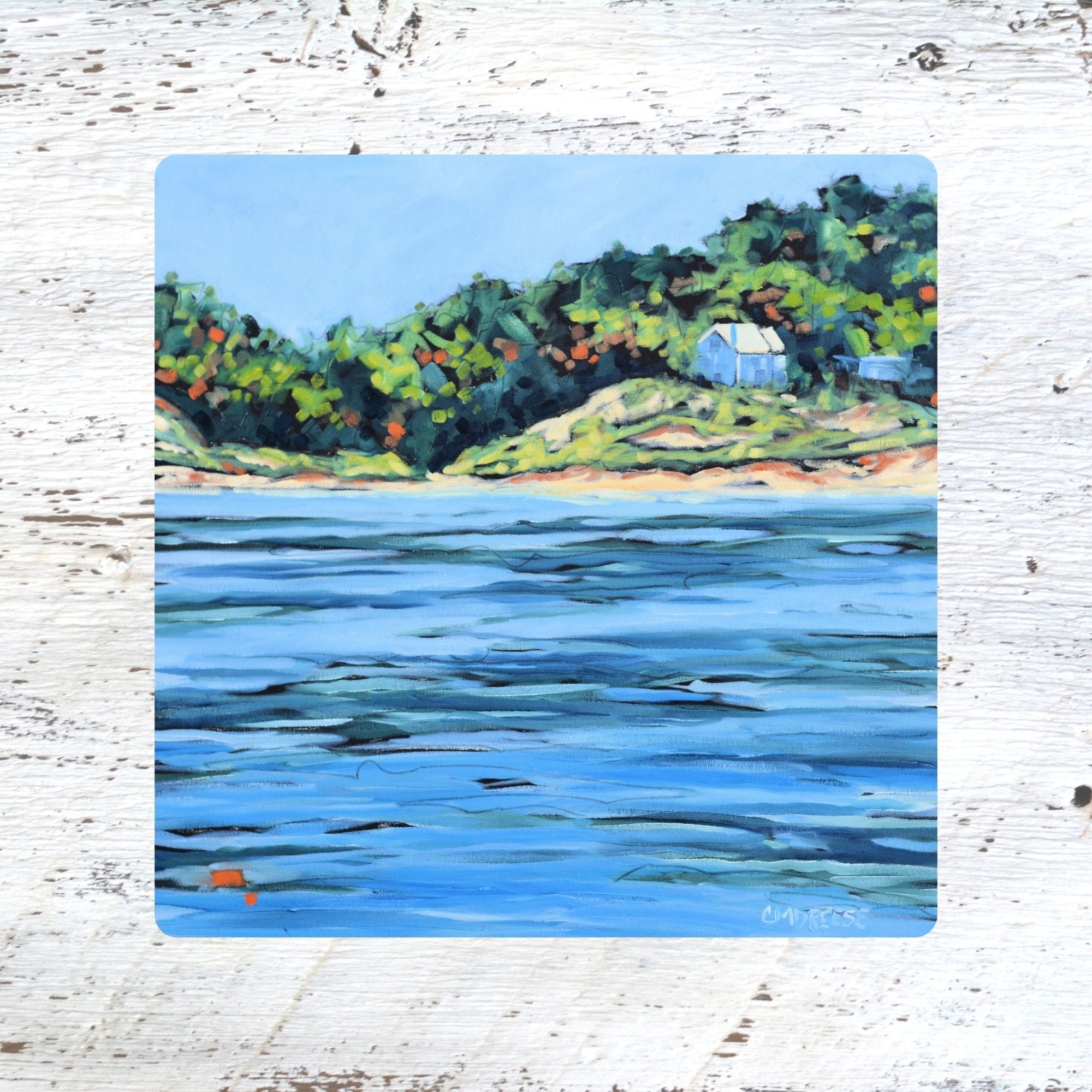 Coaster/ Trivet/ Magnet: The Shores of Lake Michigan