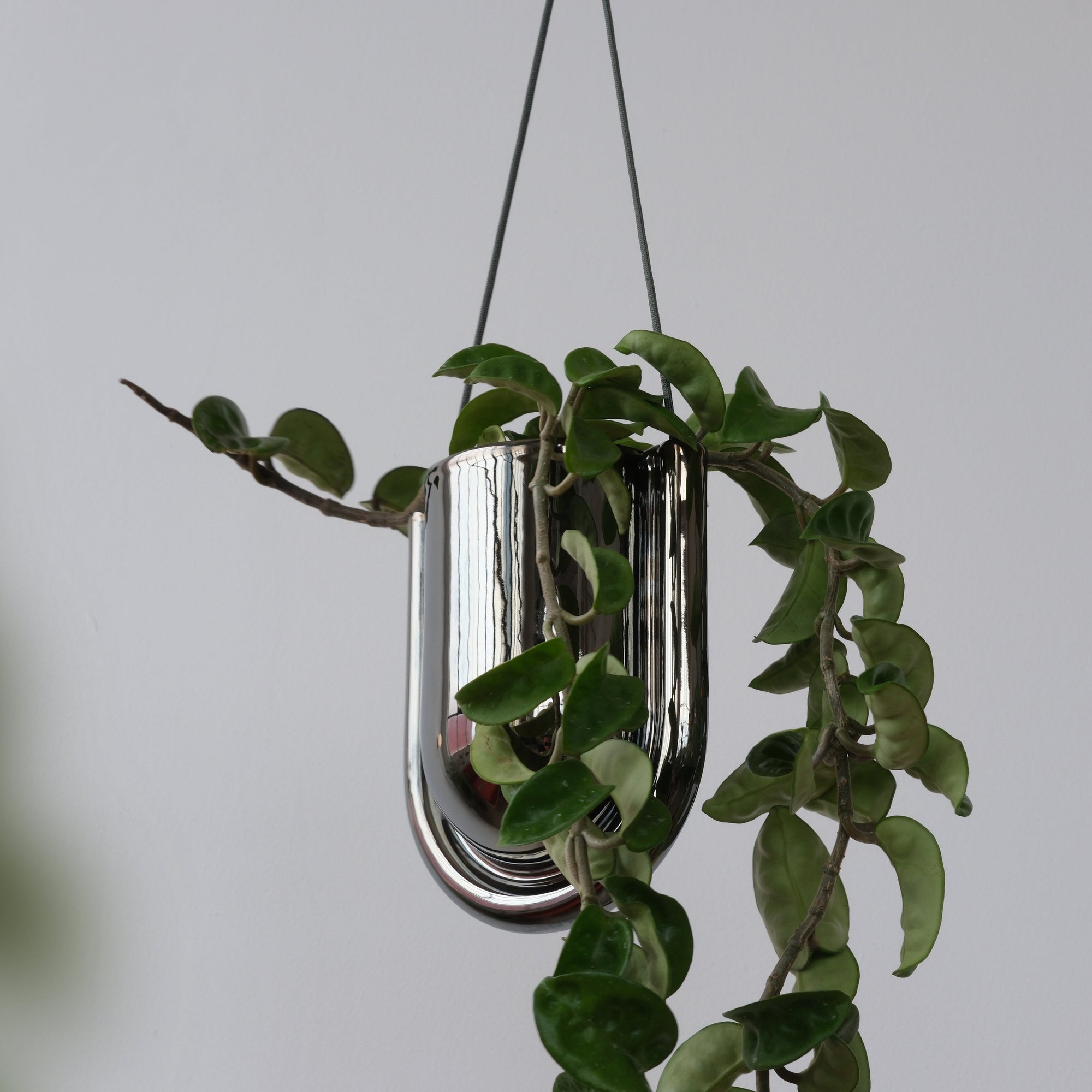 Chrome Portico Planter suspended with leafy green plant, minimalist curved ceramic pot with matte chrome glaze