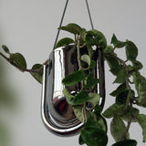 Glossy black U-shaped hanging planter with lush green trailing plant against a plain light grey background, suspended by thin black cords.