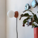 Wall-mounted spherical white glass light fixture with a terracotta base and visible black cord, next to two glossy blue ceramic coat hooks and a leafy plant in a red pot.
