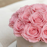 Classic Beige Suede Dome Box | Light Pink Roses