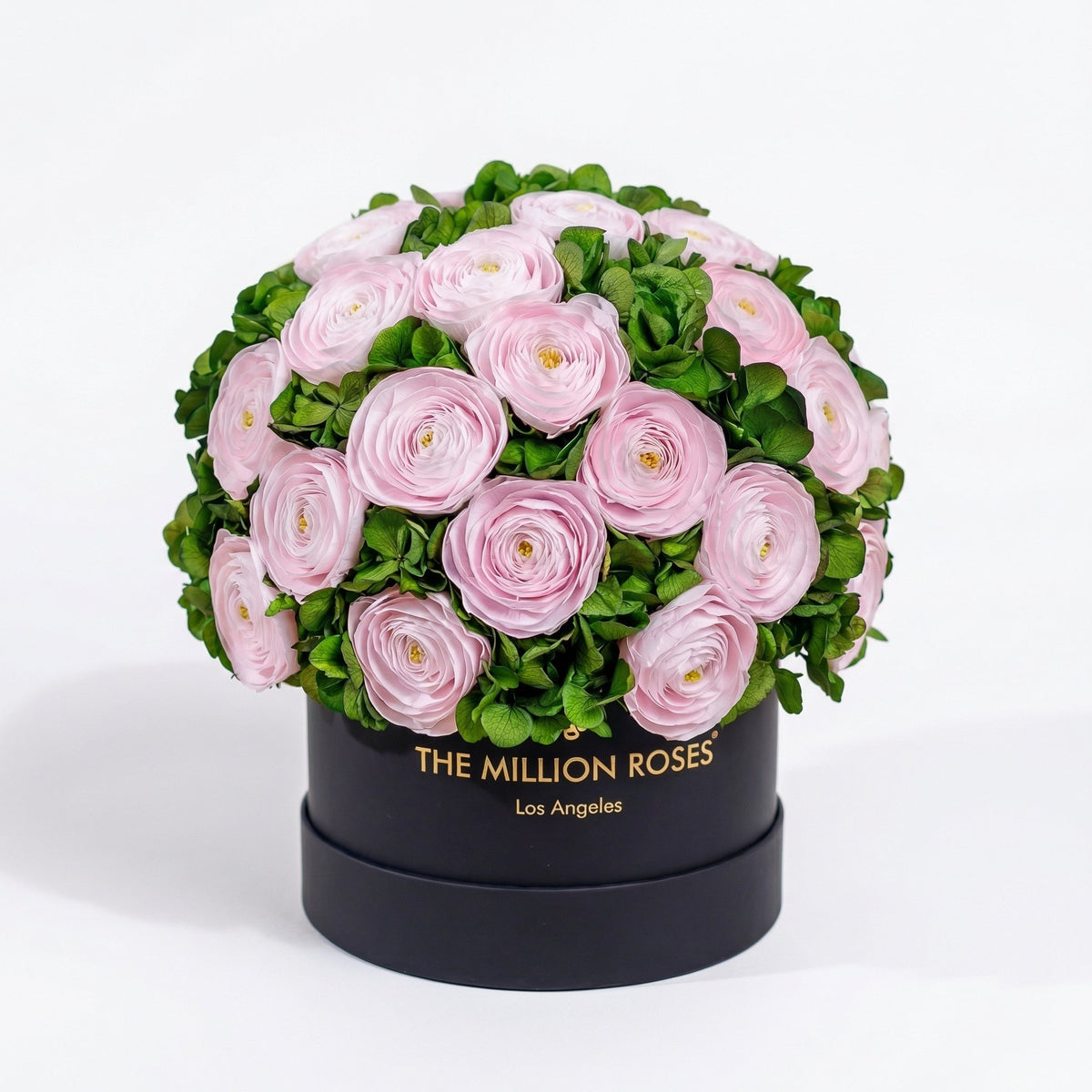 Classic Black Box by The Million Roses - main product image for Resin Society
