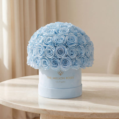 Classic Light Blue Suede Superdome Box by The Million Roses - product image 2 for Resin Society