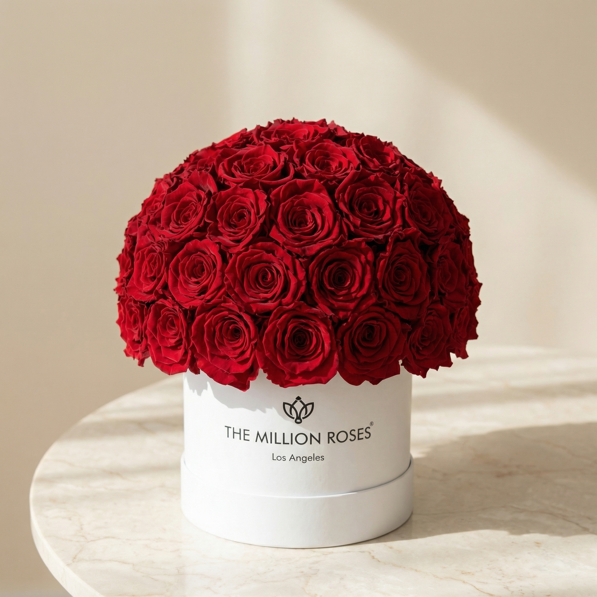 Classic White Superdome Box by The Million Roses - product image 2 for Resin Society