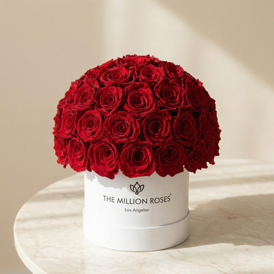 Classic White Superdome Box by The Million Roses - product image 2 for Resin Society