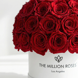 Classic White Superdome Box by The Million Roses - product image 3 for Resin Society
