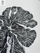 Close-up black and white woodcut print of a crab apple tree ring showing detailed growth lines and organic, irregular shapes on white background.