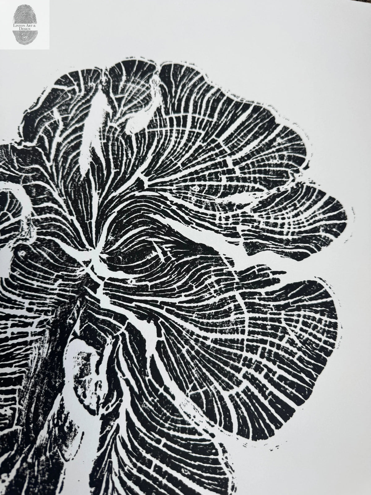 Close-up black and white woodcut print of a crab apple tree ring showing detailed growth lines and organic, irregular shapes on white background.