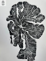 Black ink woodcut print of an irregularly shaped crab apple tree ring showing intricate grain and growth ring patterns on a white background.