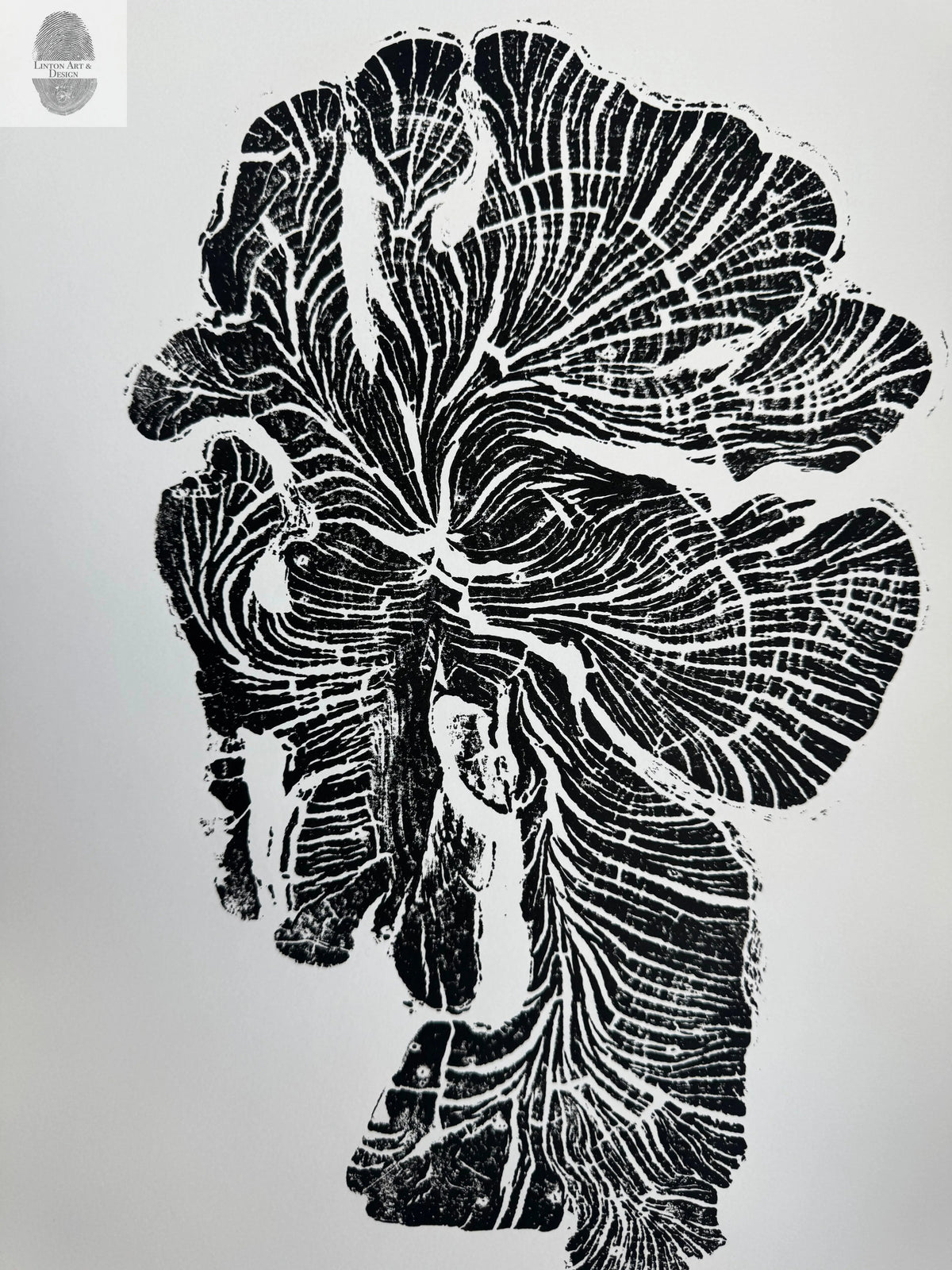 Black ink woodcut print of an irregularly shaped crab apple tree ring showing intricate grain and growth ring patterns on a white background.