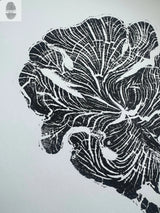 Black-and-white woodcut print of a crab apple tree cross-section with detailed, wavy growth rings and irregular edges on a white background.