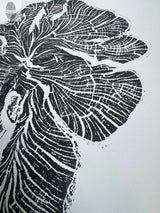 Black and white woodcut print depicting the detailed ring pattern of a crab apple tree cross-section with bold, radiating lines and textures.