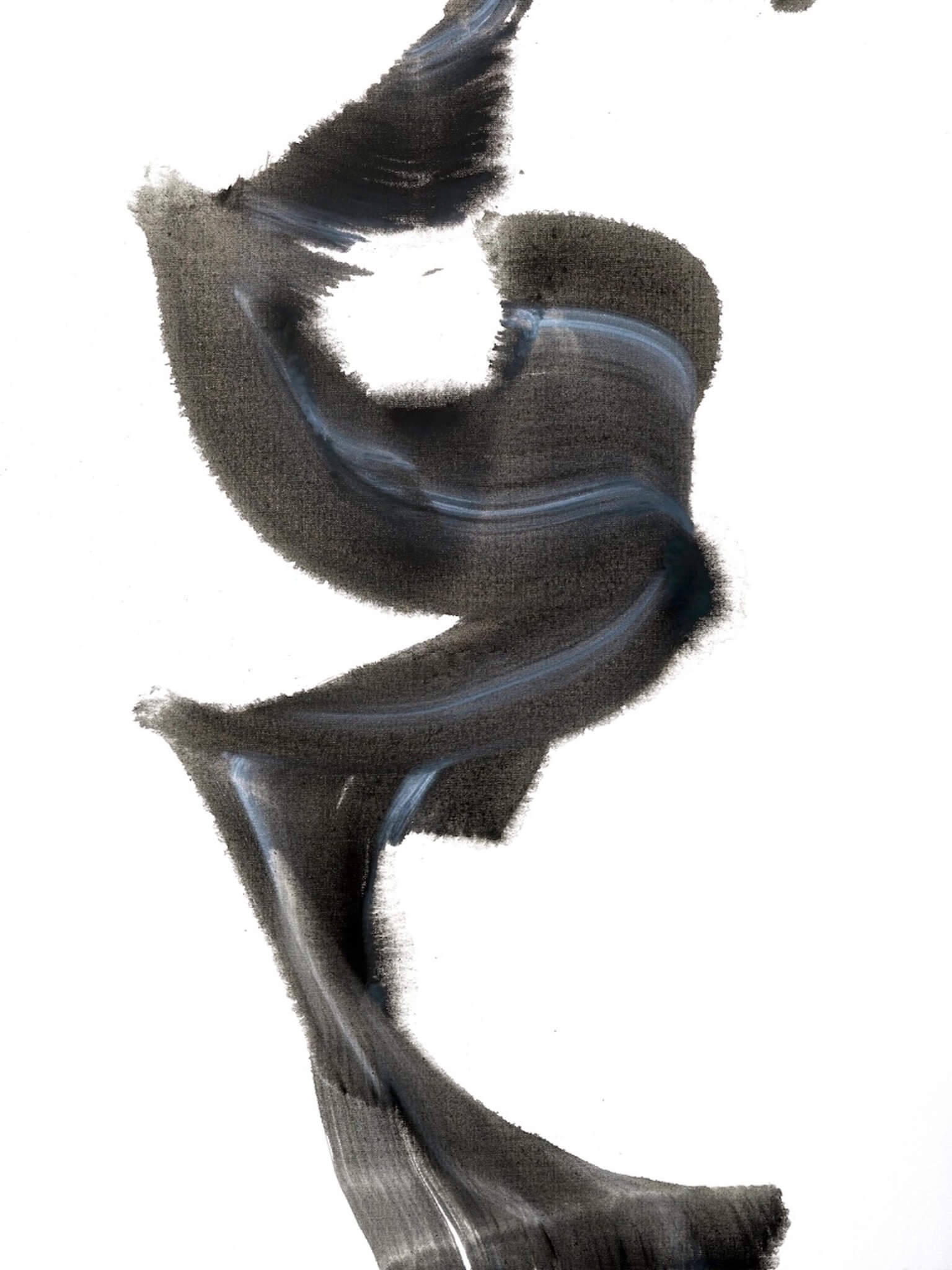 Silhouette I Artist Enhanced Canvas Print by John Beard Collection - main product image for Resin Society