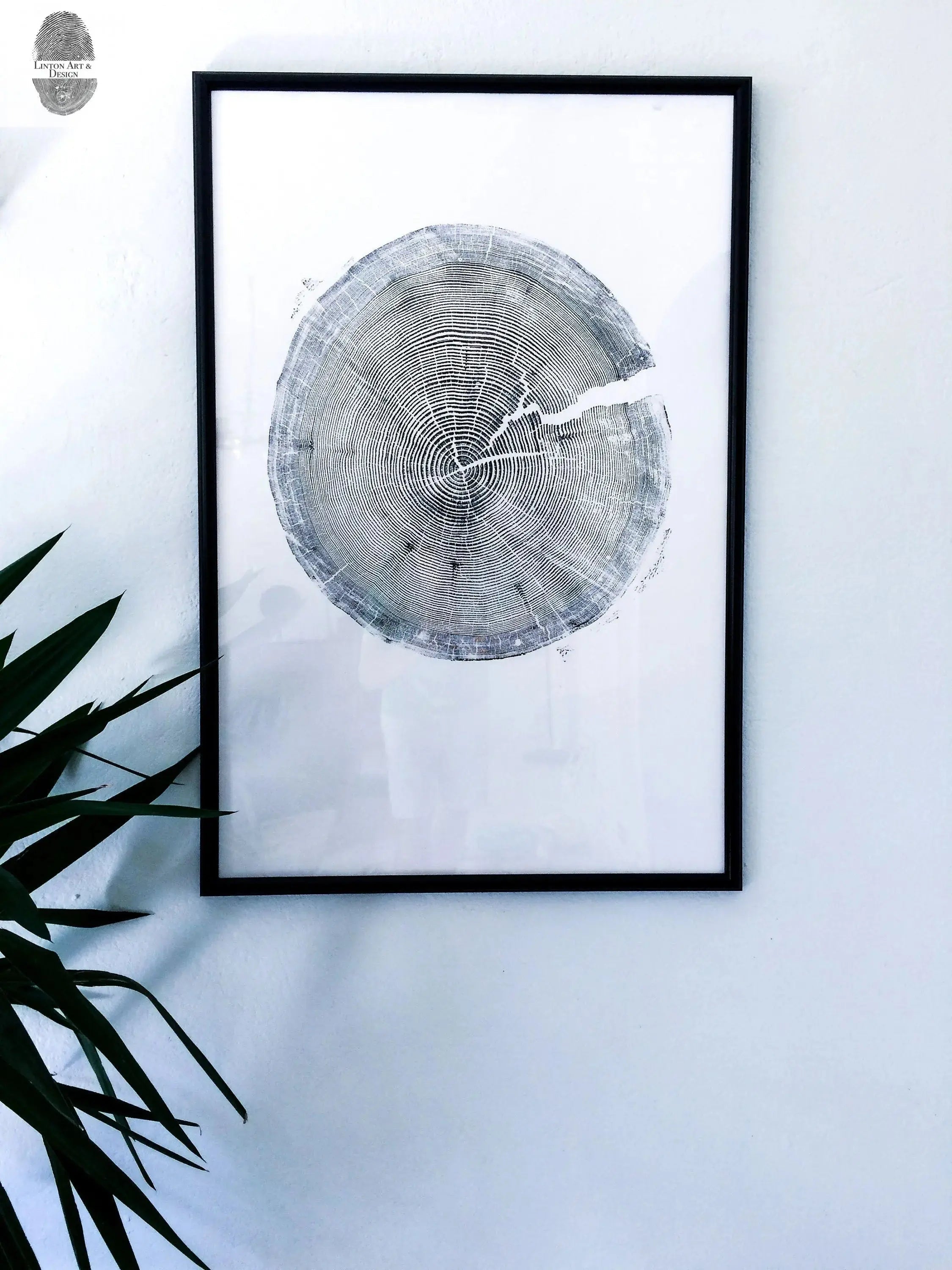 Crater Lake woodcut art print showing tree ring pattern, 24x36 inches, signed original by LintonArt